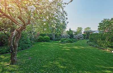 Landscaped Garden